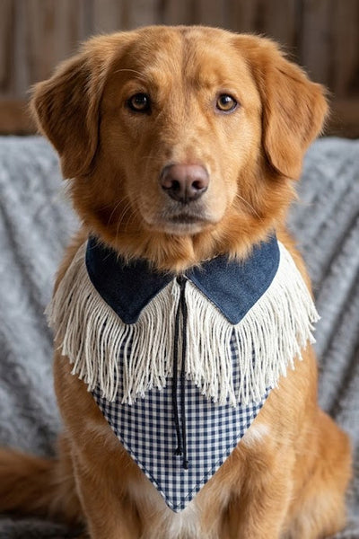 Dog Bandanas