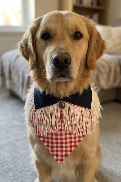 Dog Bandanas