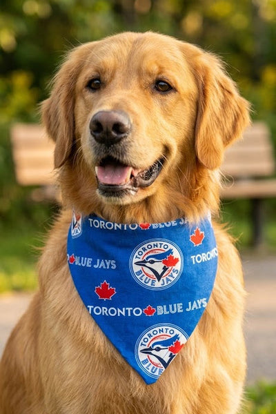 Dog Bandanas